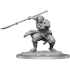 D&D Nolzur's Marvelous Miniatures - Oni WV17